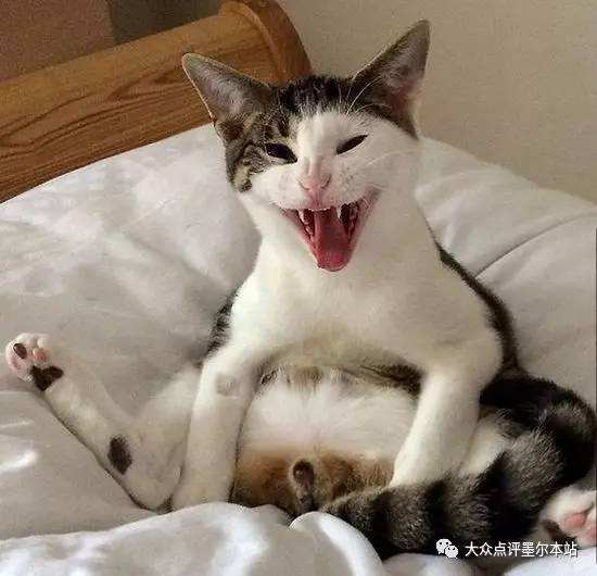 ѹǹ��ʲô�۵ĺ��壿����˵ѹǹ��ʲô��˼