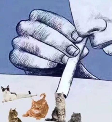 ŮèƬèĿѧʲô
