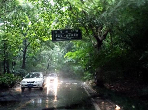中山陵龙脖子路灵异事件,龙脖子路分尸案是真的吗?