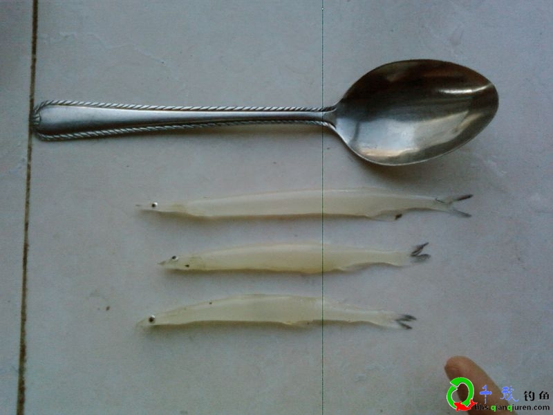面条鱼和银鱼的区别,面条鱼最好吃的两种做法