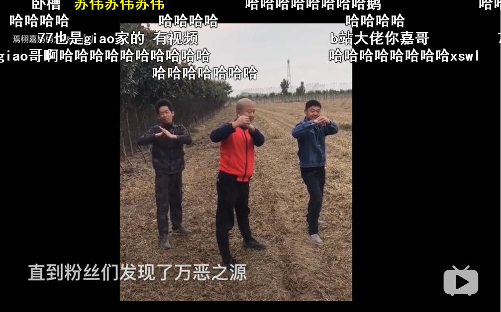 ����Ϊʲô��giao�á�С�ѡ���������������͢����Ա���
