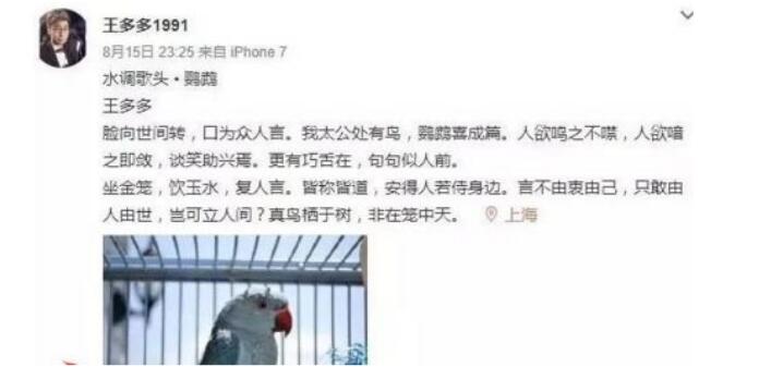 王多多事件是什么,他为什么叫电竞白岩松