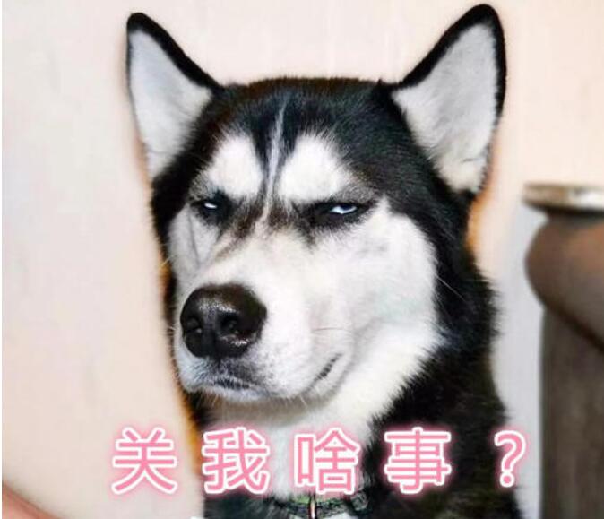 Ϊʲôҧʿ棬ǻѹʿ浱ͬ