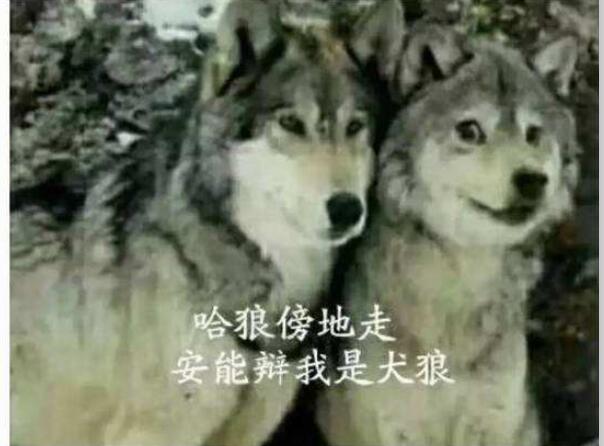 Ϊʲôҧʿ棬ǻѹʿ浱ͬ