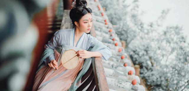 半生雪这首歌表达什么意思,半生雪抄袭那首歌?