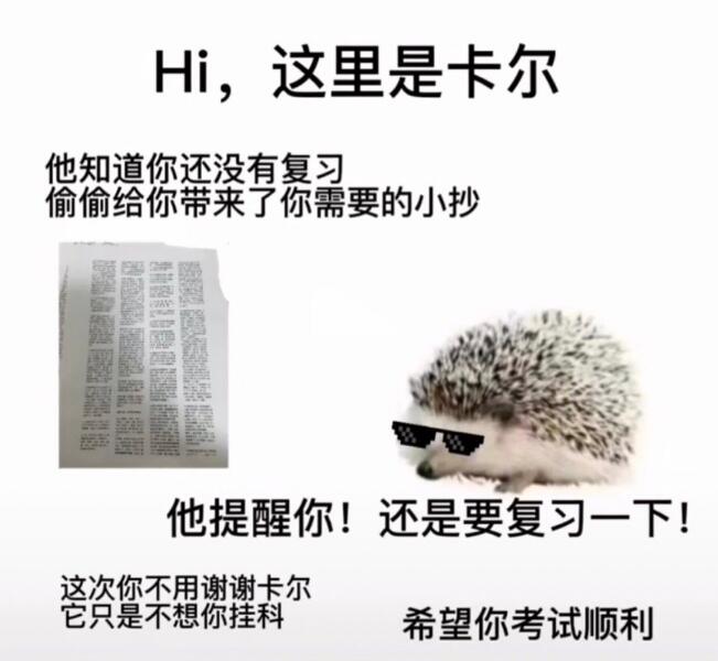 刺猬卡尔什么梗?谢谢卡尔表情包