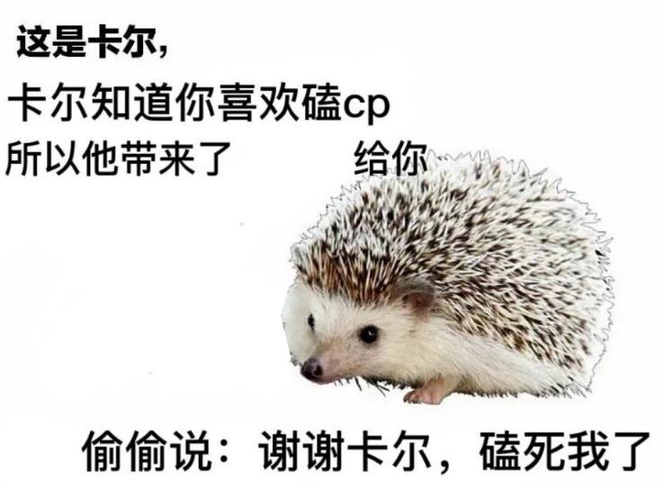 刺猬卡尔什么梗?谢谢卡尔表情包