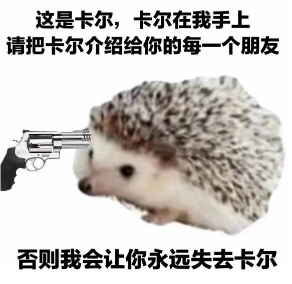 刺猬卡尔什么梗?谢谢卡尔表情包