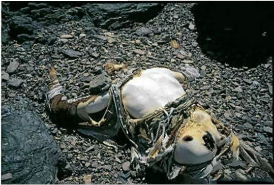 珠峰上的登山者遗体会烂掉吗,真实实拍珠峰上的哪些逝者图片