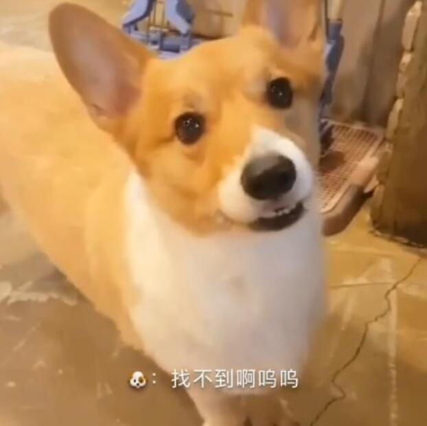 ���͹���Ϊʲô��������������ʲôƷ�ֵĹ���