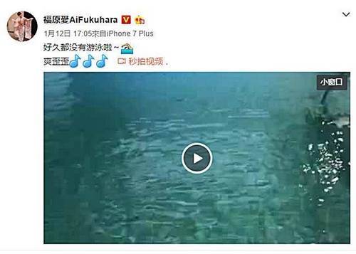 福原爱游泳直接真空上阵 人妻福原爱尺度大开引发热议