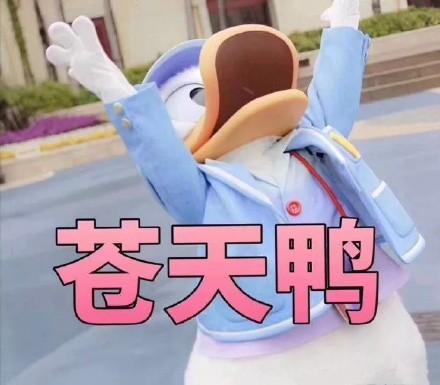 ����ҲҪ����Ѽʲô������Ѽ����ʲô��