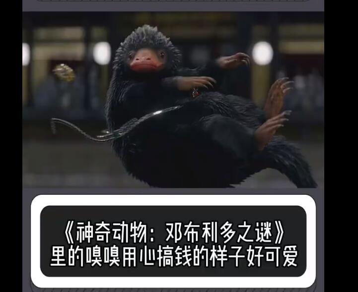 ԭʲôΪʲôϲ