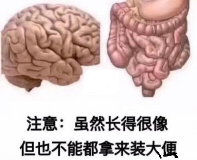 ʯͷ˹ðʲôʯͷ˹һԱ