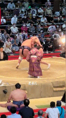 横纲白鹏的老婆纱代子照片,超级大横纲白鹏究竟有多强?