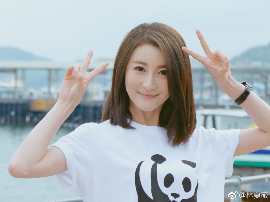 林夏薇老公莫赞生身价多少,俩人是怎么认识的?