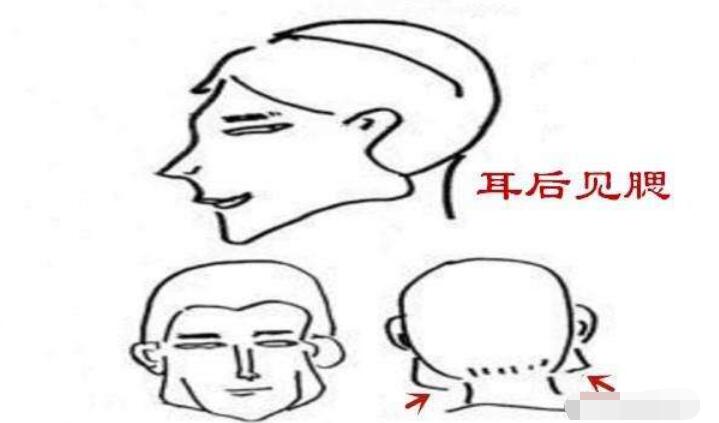 怎么看脑袋有没有反骨?男人有反骨有什么说法