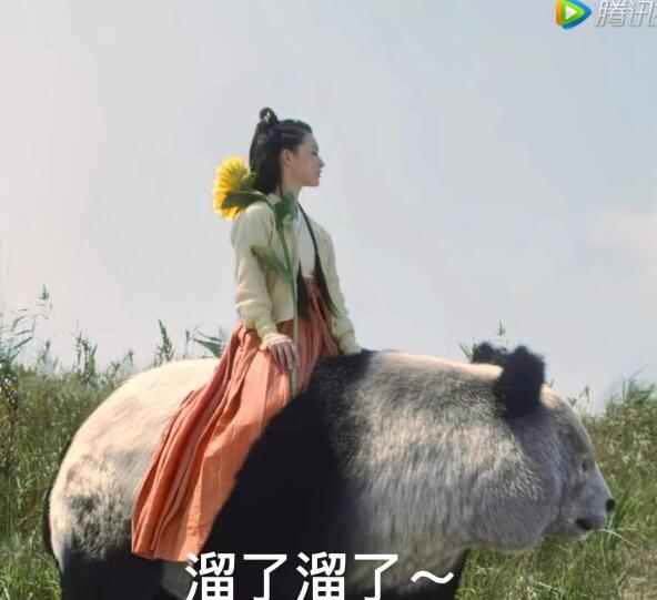 Ǻǹ𣿺ǺǹĴè