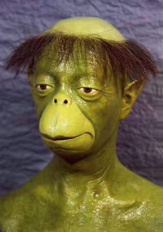 ͯͼƬʵֲͯʲô