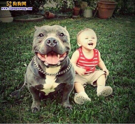 ���Ȯ��ʲôȮ�ĺ�������Ȯ�ͱ���Ȯ��ʲô����