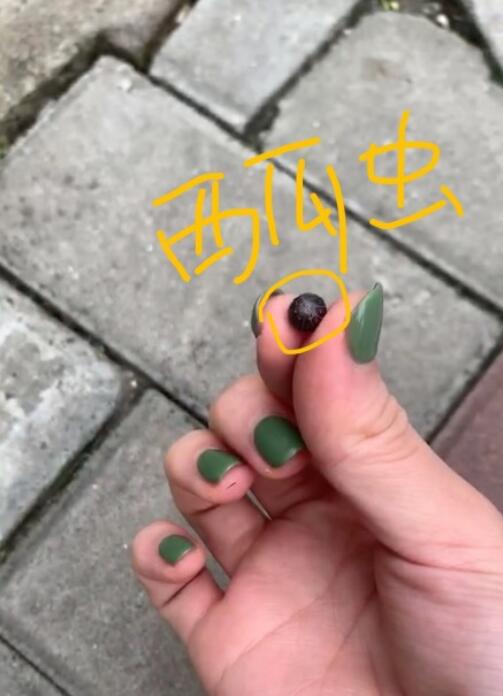�������ϳ�����������ģ����ϳ��Ǻ��滹����棿