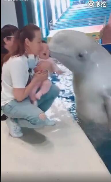 �׾�Ϊʲô������ô��ϲ�������棬�׾������̴ﵽ����С����
