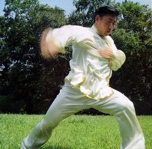 中国武术界第一高手是谁,中国近代武术大师排行榜