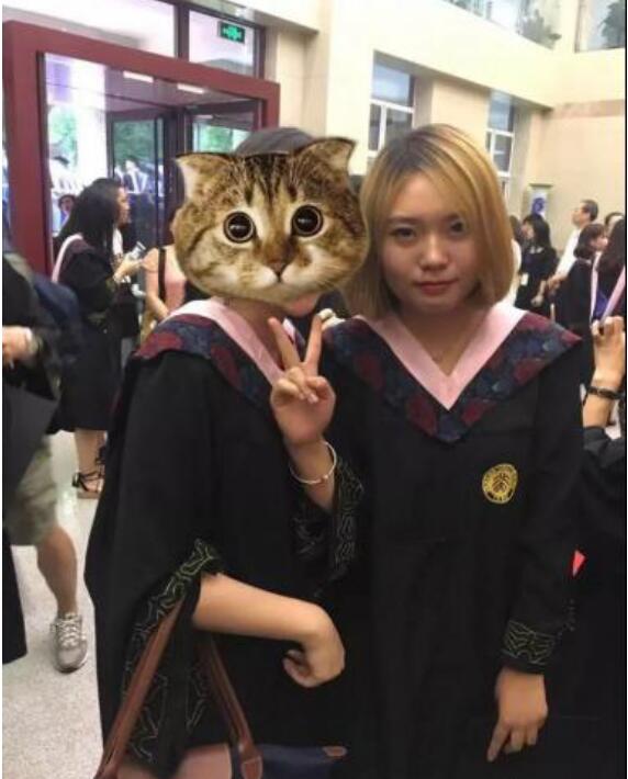 李雪琴家世如何她是北大的吗,吴亦凡为什么要回复李雪琴的梗