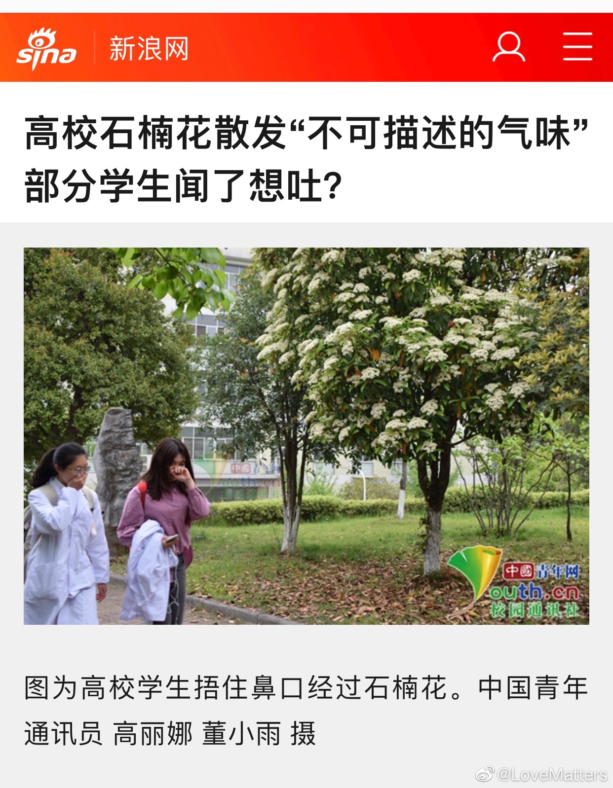 石楠花到底是什么味道,上海交大石楠花是什么梗