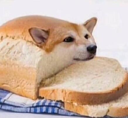 㳦ʲô㳦