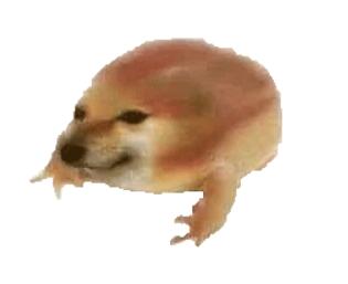 㳦ʲô㳦