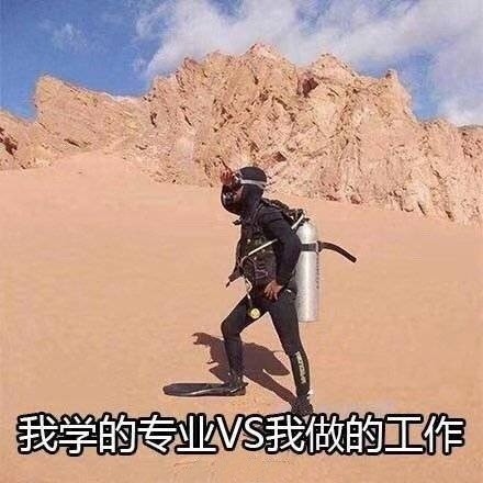 ��������ʲô��˼����������������