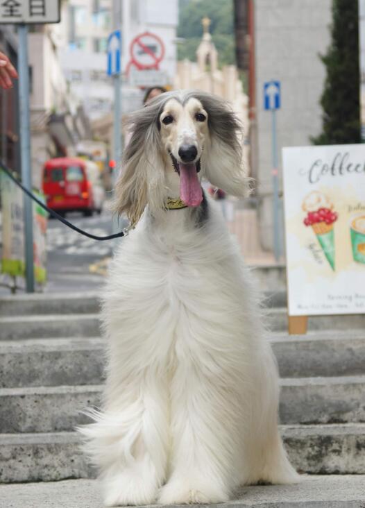 ȮййȮ