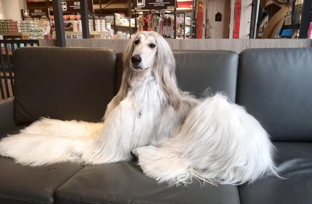 ȮййȮ