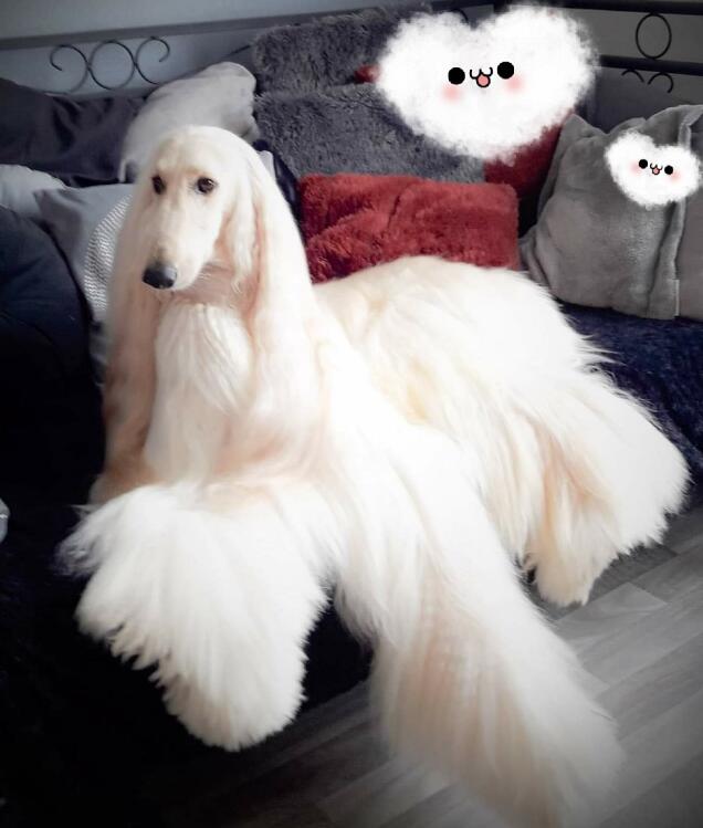 ȮййȮ