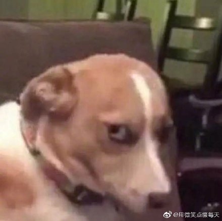 女生说深井冰什么意思,别人说你深井冰用什么反驳?