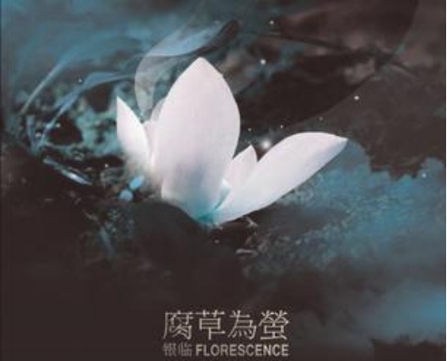 灰原穷和银临什么关系,俩人结婚了吗?