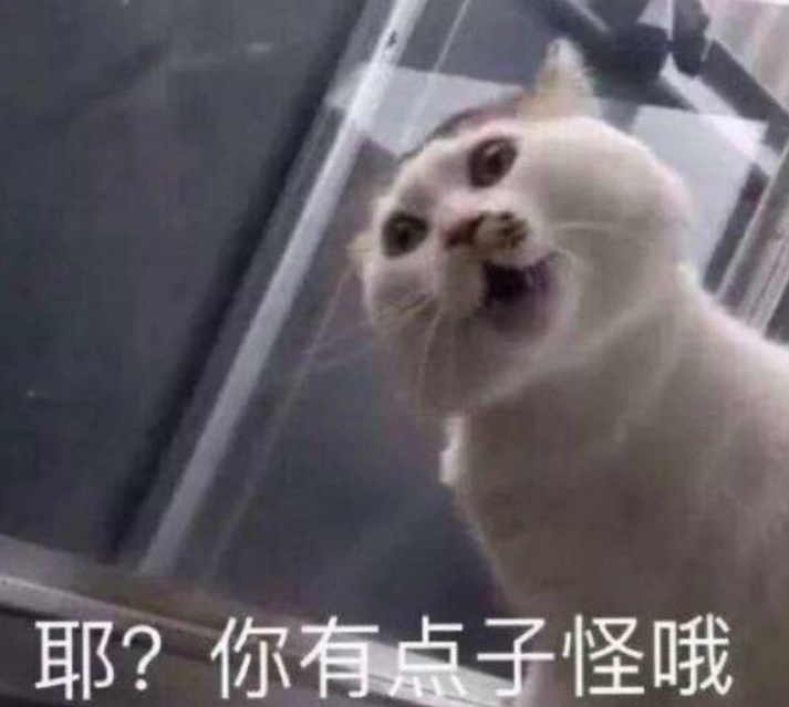 ʲô