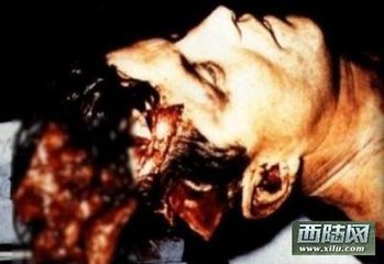 肯尼迪刺杀被击中了几枪?肯尼迪家族的诅咒现在还有吗?