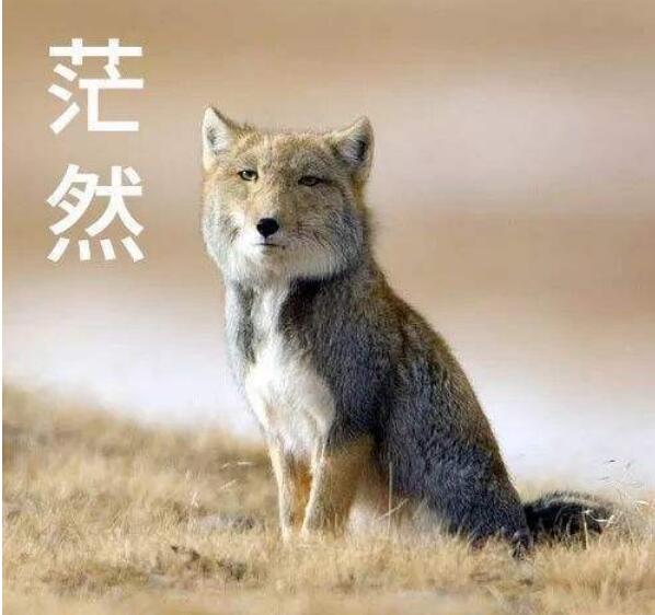 �غ����Լ�����Ϊʲô˵�غ��Ǿ�����Ⱦ