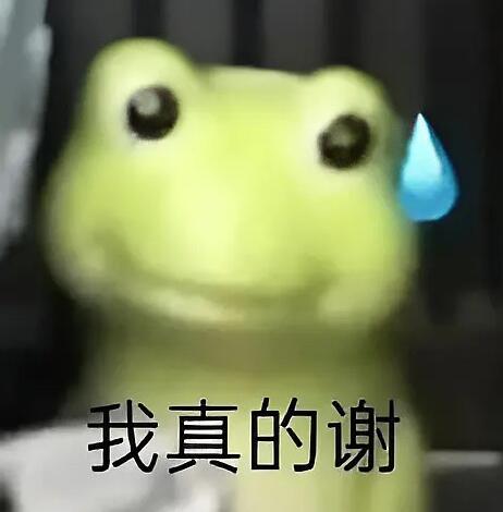 Ҫ˵ʲô˼ʾľİ
