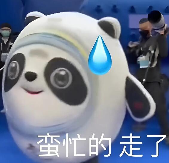 Ҫ˵ʲô˼ʾľİ