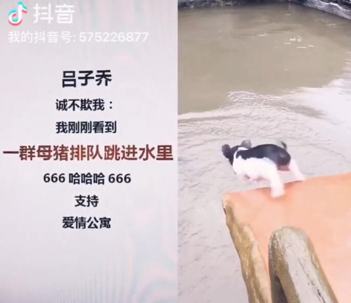 ǳϲʲô˼ŶˮGIF
