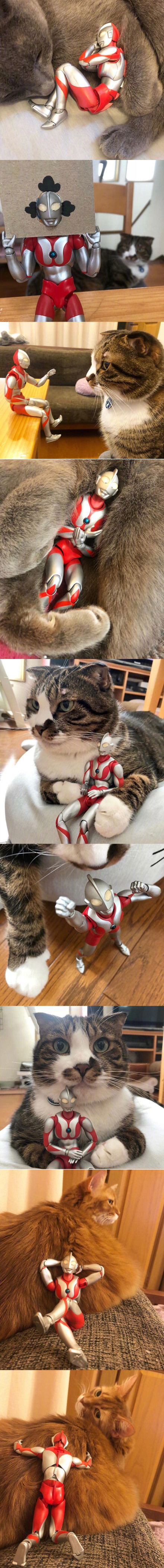 èԲ˺òãΪʲô˵è