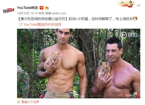 罻վ͹ʲô͹