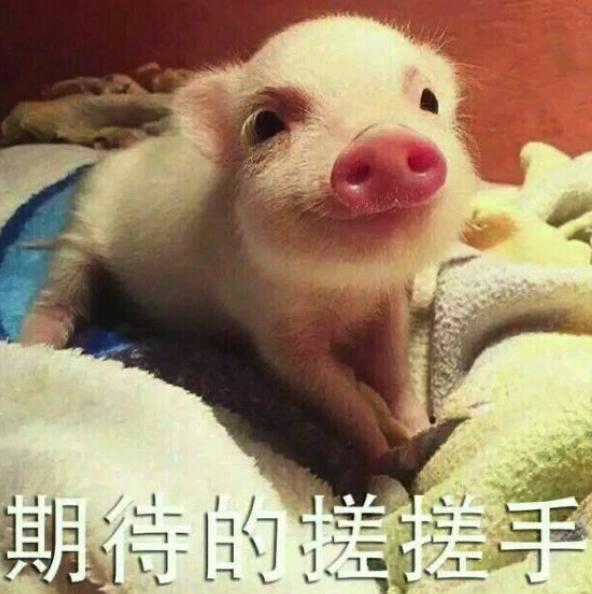 ӬڸʲôӬֱ