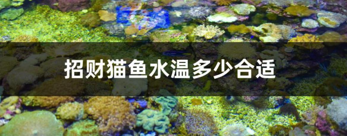 вèˮ¶ٺʣʲôã