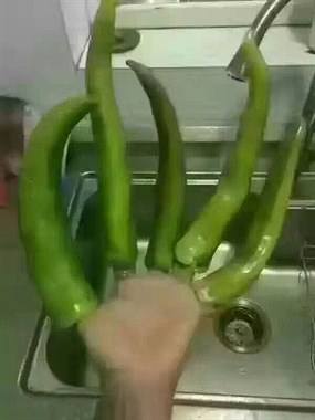 ˵Ů���ݽ���צ��ʲô��˼��˵Ů�˺�������ʲô��˼