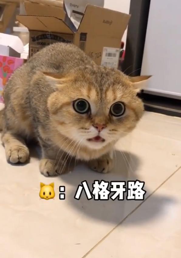 һ���ھ��Ǵ����������ʲô��������˴�����ʲô��˼��