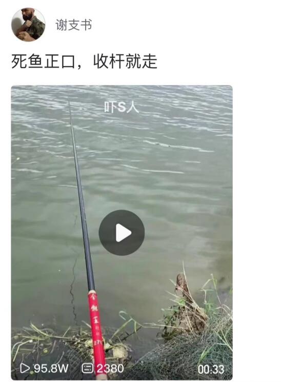 死鱼正口收杆就走什么意思?死鱼正口是什么原因